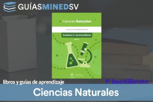 Guías de Ciencias naturales de Primer año de bachillerato MINED 2025 – Descargar en PDF