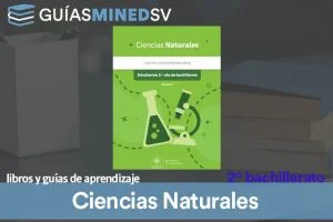 Guías de Ciencias naturales de Segundo año de bachillerato MINED 2025 – Descargar en PDF