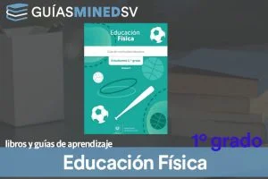 Guías de educación física de Primer Grado MINED 2025 – Descargar en PDF