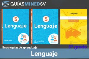 Guías y Libro de Lengua y literatura de Quinto Grado resuelto MINED Eslengua 2024 – Descargar en PDF