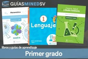 Libros de texto y guías de aprendizaje MINED de Primer grado 2025  – Descargar en PDF