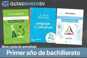 Libros de texto y guías de aprendizaje MINED de Primer año de bachillerato 2025  – Descargar en PDF