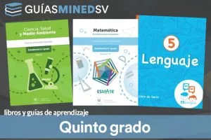 Libros de texto y guías de aprendizaje MINED de Quinto grado 2025  – Descargar en PDF