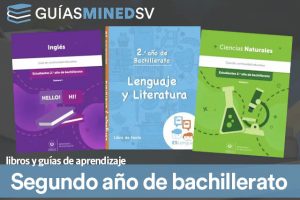 Libros de texto y guías de aprendizaje MINED de Segundo año de bachillerato 2024  – Descargar en PDF