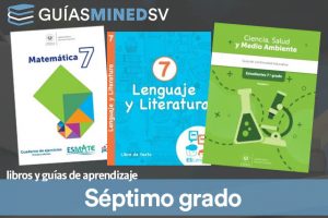 Libros de texto y guías de aprendizaje MINED de Séptimo grado 2024  – Descargar en PDF