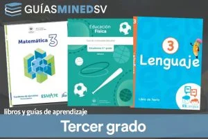 Libros de texto y guías de aprendizaje MINED de Tercer grado 2025  – Descargar en PDF