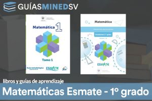 Guías y Libro de matemáticas Esmate de Primer Grado resuelto MINED 2024 – Descargar en PDF