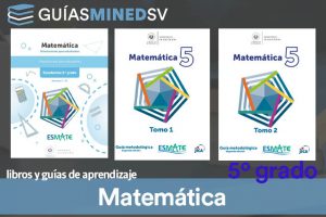 Guías y Libro de matemáticas Esmate de Quinto Grado resuelto MINED 2025 – Descargar en PDF